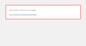Read more about the article How to Fix There Has Been a Critical Error on Your Website