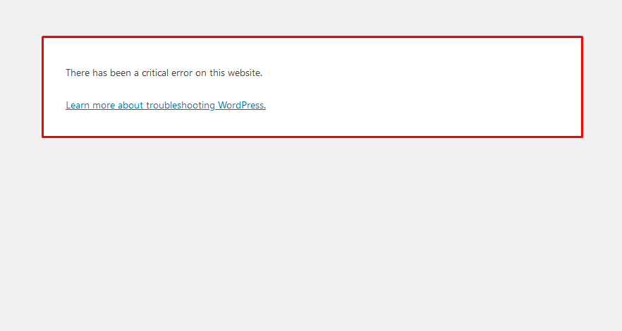 Read more about the article How to Fix There Has Been a Critical Error on Your Website